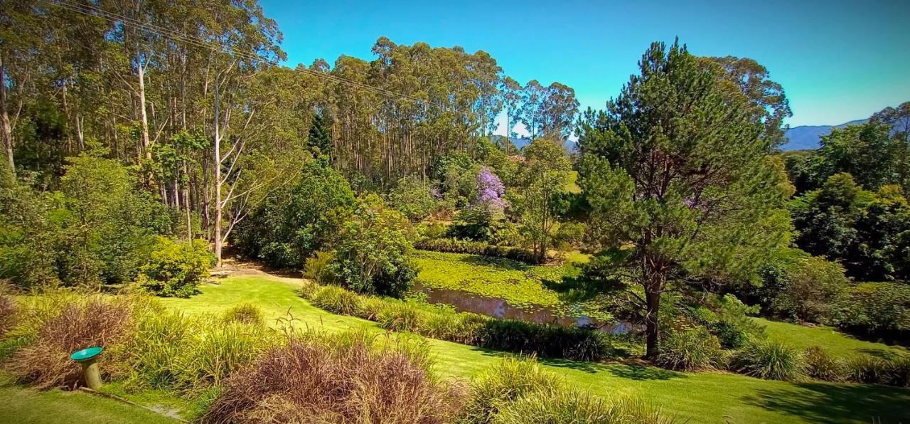 בלינגן Lilypad Luxury Cabins מראה חיצוני תמונה