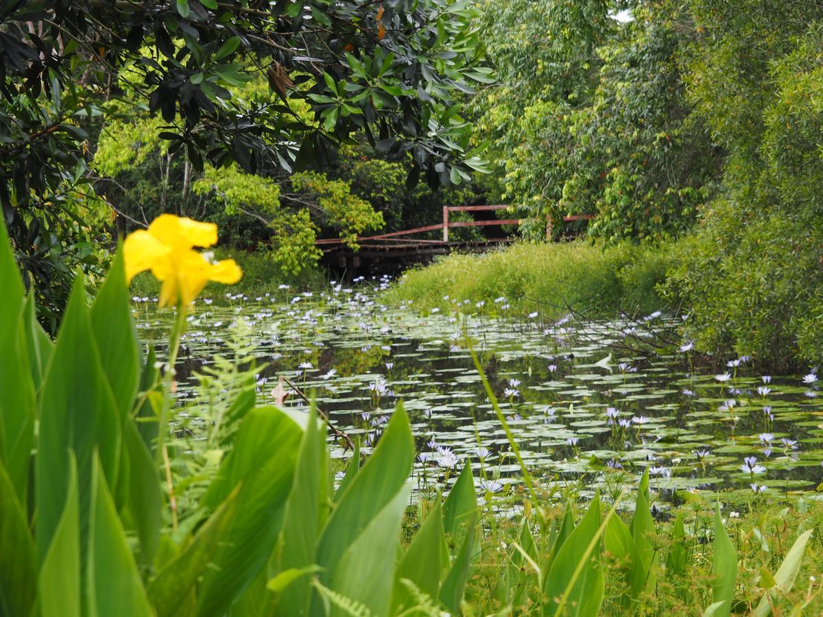 בלינגן Lilypad Luxury Cabins מראה חיצוני תמונה